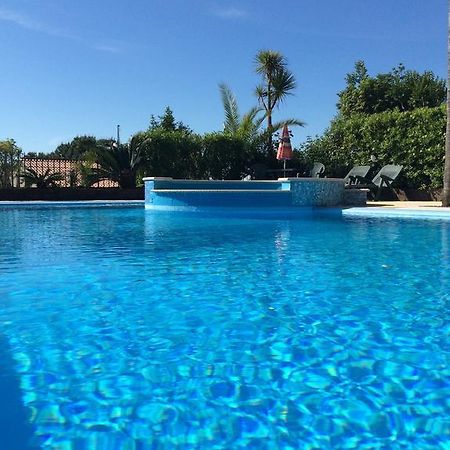 Villa Maria Apartments Moniga del Garda Eksteriør billede