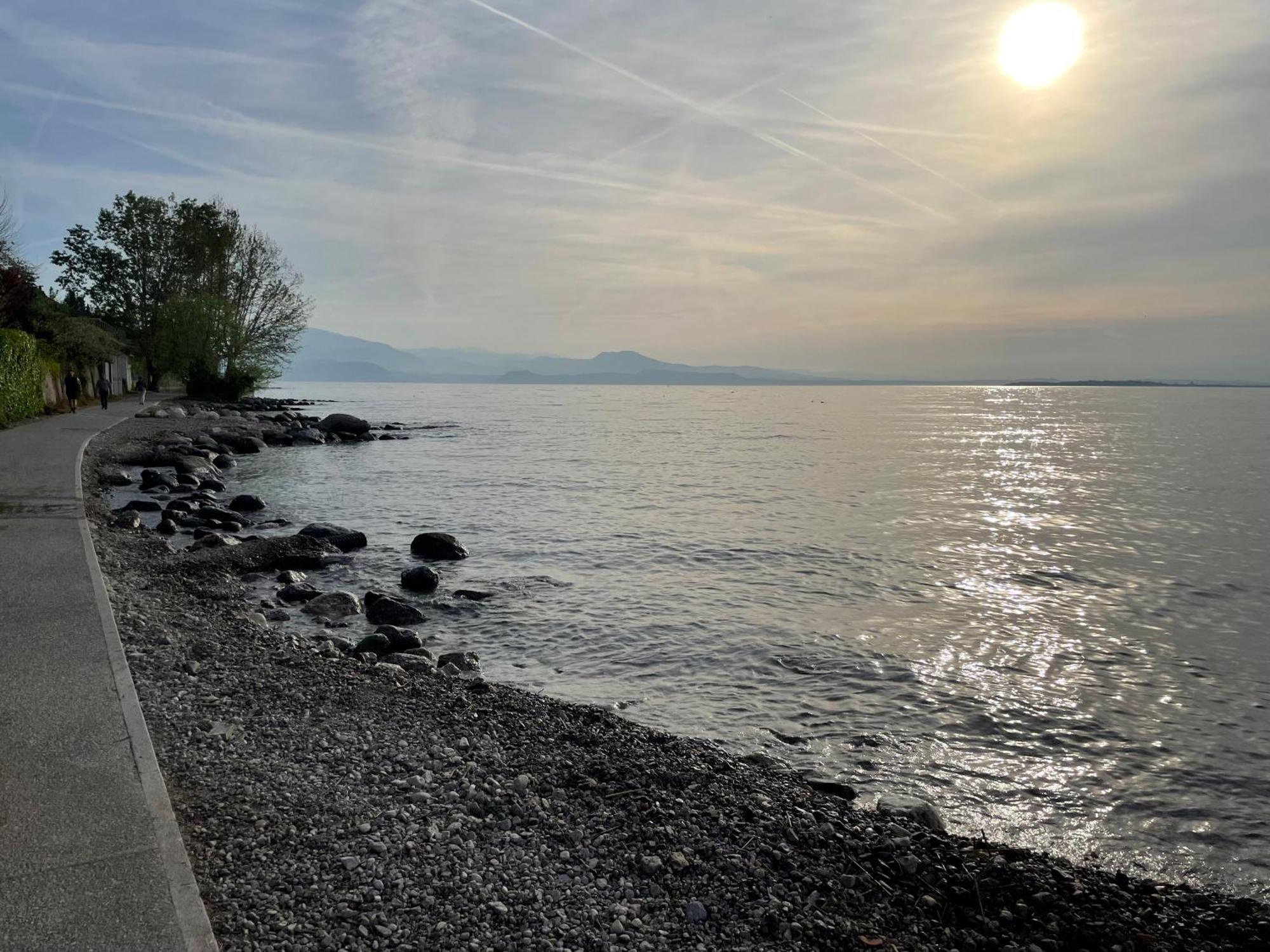 Villa Maria Apartments Moniga del Garda Eksteriør billede