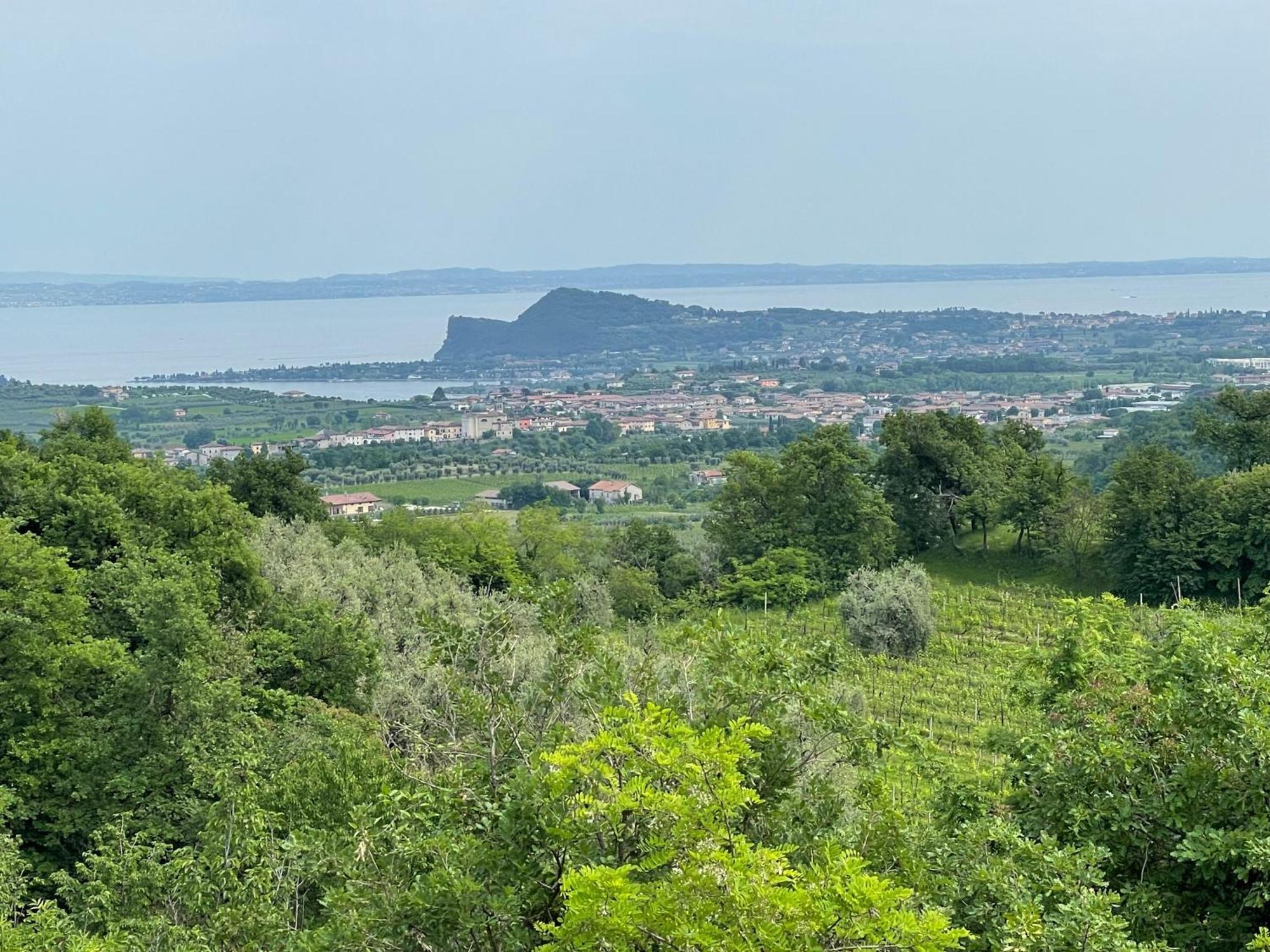 Villa Maria Apartments Moniga del Garda Eksteriør billede